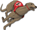 magicwingame.org - Greyhound Racing 